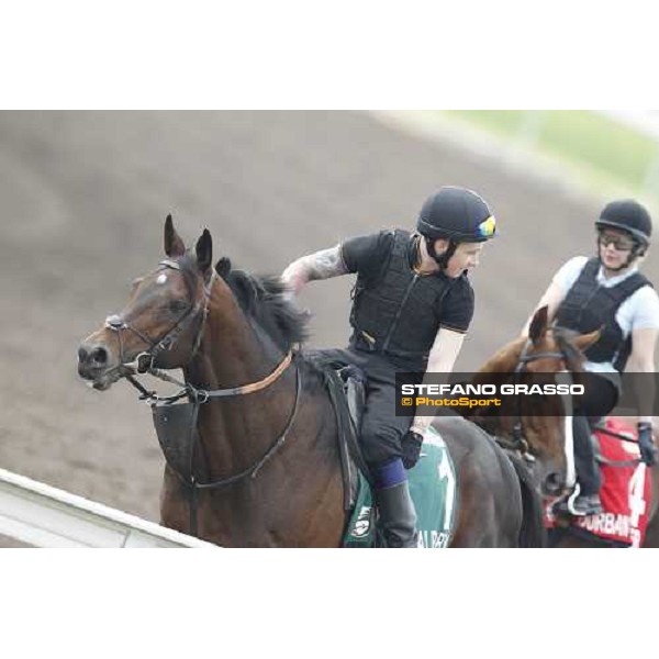 Morning trackworks at Sha Tin racecourse - Jakkalberry Hong Kong, 8th dec. 2011 ph.Stefano Grasso