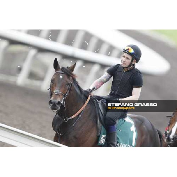 Morning trackworks at Sha Tin racecourse - Jakkalberry Hong Kong, 8th dec. 2011 ph.Stefano Grasso