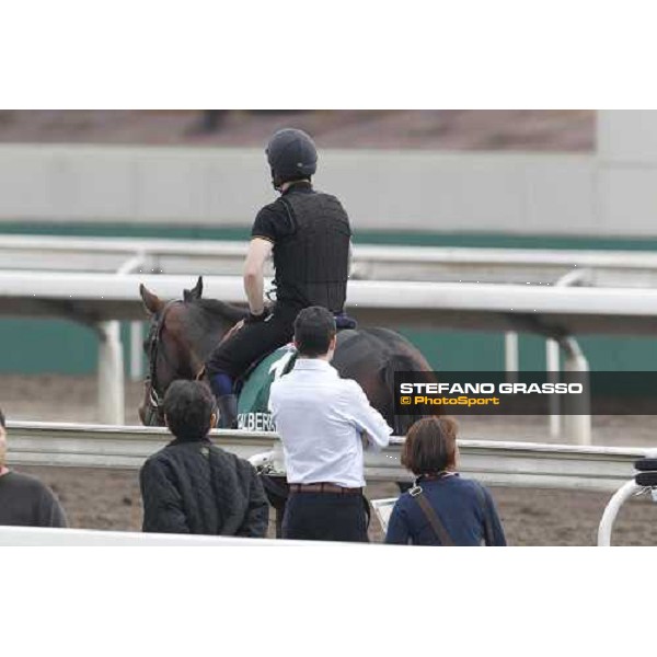 Morning trackworks at Sha Tin racecourse - Jakkalberry Hong Kong, 8th dec. 2011 ph.Stefano Grasso