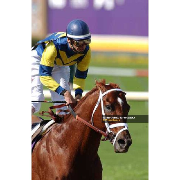 John Velazquez on Speightstown immediately after the line of Breeders\' Cup Sprint Dallas 30th october 2004 ph. Stefano Grasso
