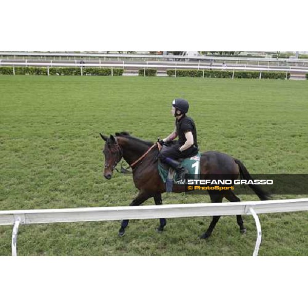 Morning trackworks at Sha Tin racecourse - Jakkalberry Hong Kong, 8th dec. 2011 ph.Stefano Grasso