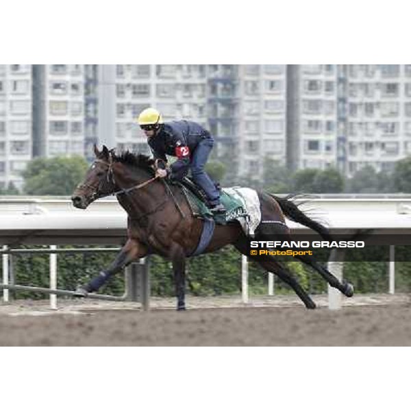 Morning trackworks at Sha Tin racecourse - Fabio Branca on Jakkalberry Hong Kong, 9th dec. 2011 ph.Stefano Grasso