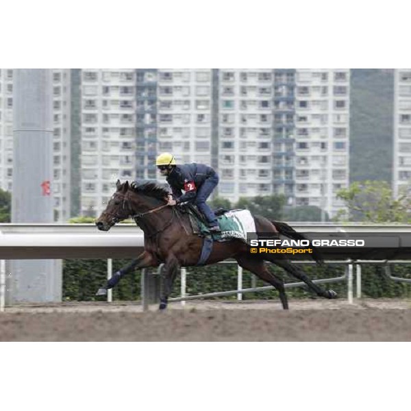 Morning trackworks at Sha Tin racecourse - Fabio Branca on Jakkalberry Hong Kong, 9th dec. 2011 ph.Stefano Grasso