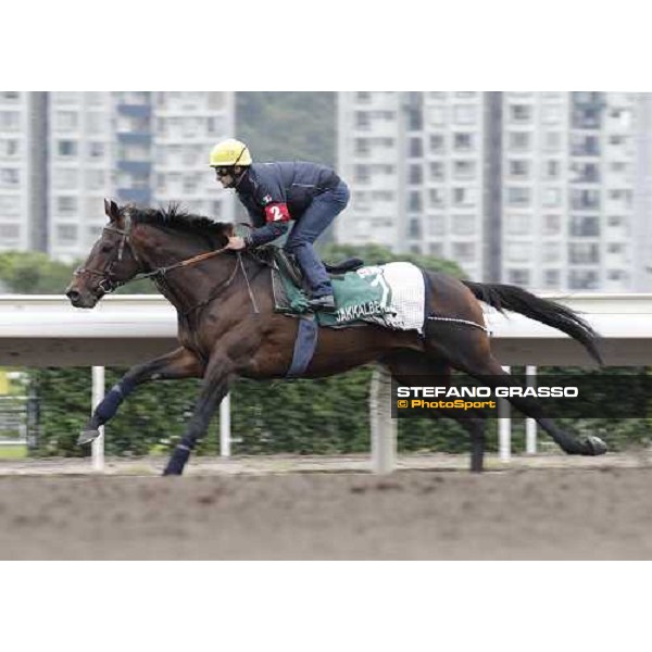 Morning trackworks at Sha Tin racecourse - Fabio Branca on Jakkalberry Hong Kong, 9th dec. 2011 ph.Stefano Grasso