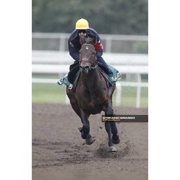 Morning trackworks at Sha Tin racecourse - Fabio Branca on Jakkalberry Hong Kong, 9th dec. 2011 ph.Stefano Grasso