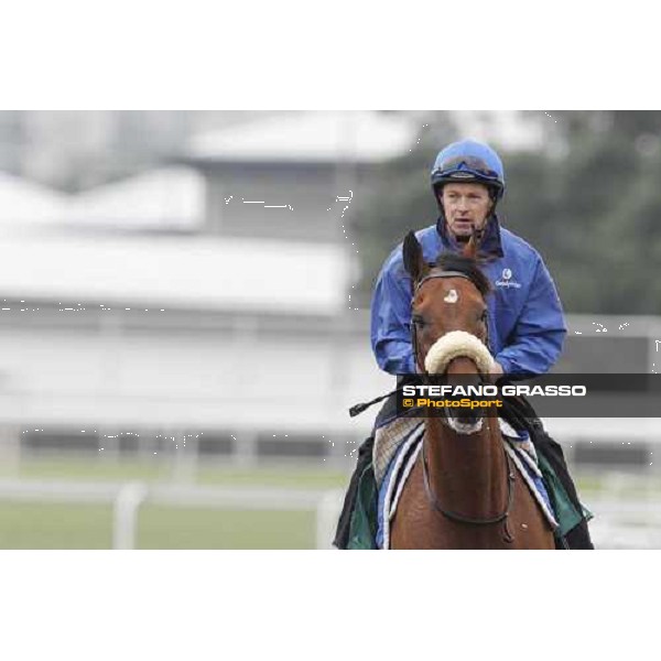 Morning trackworks at Sha Tin racecourse - Campanologist Hong Kong, 9th dec. 2011 ph.Stefano Grasso