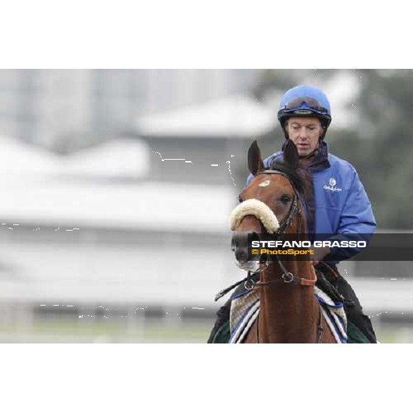 Morning trackworks at Sha Tin racecourse - Campanologist Hong Kong, 9th dec. 2011 ph.Stefano Grasso