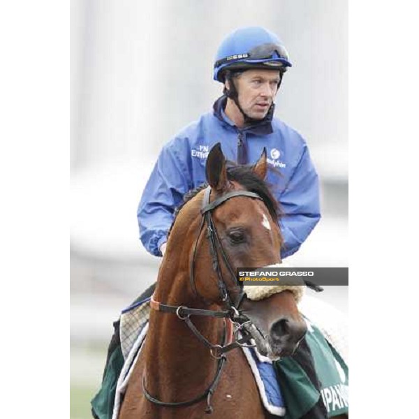 Morning trackworks at Sha Tin racecourse - Campanologist Hong Kong, 9th dec. 2011 ph.Stefano Grasso