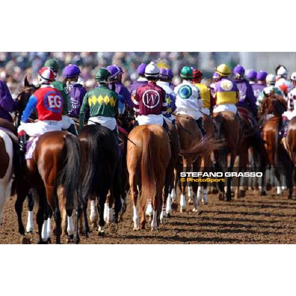 runners of Breeders\' Cup Sprint Dallas 30th october 2004 ph. Stefano Grasso