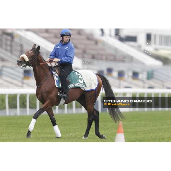 Morning trackworks at Sha Tin racecourse - Campanologist Hong Kong, 9th dec. 2011 ph.Stefano Grasso