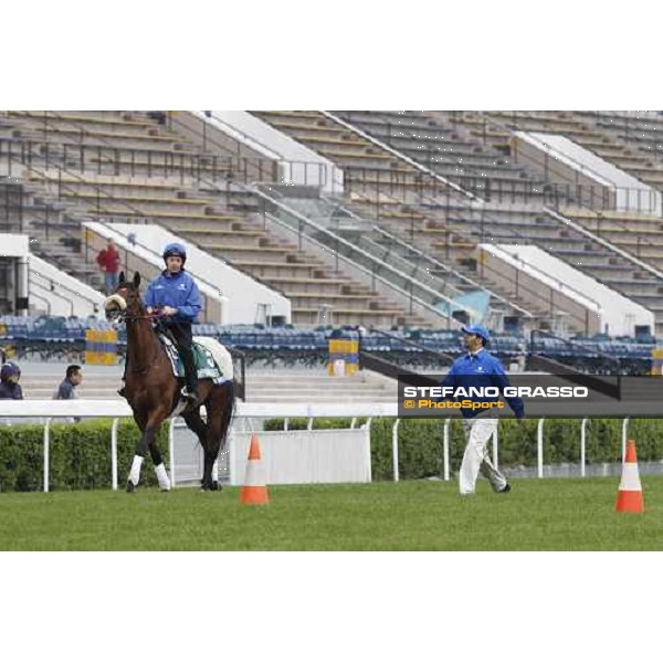 Morning trackworks at Sha Tin racecourse - Campanologist Hong Kong, 9th dec. 2011 ph.Stefano Grasso