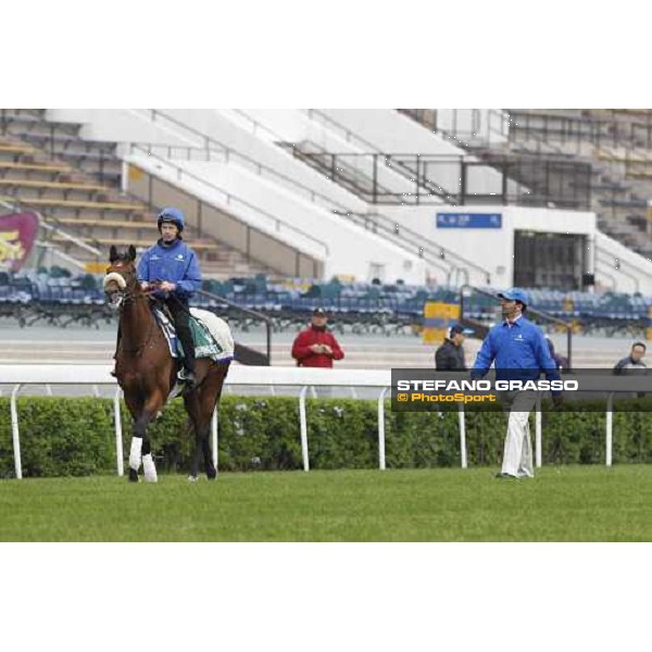 Morning trackworks at Sha Tin racecourse - Campanologist Hong Kong, 9th dec. 2011 ph.Stefano Grasso