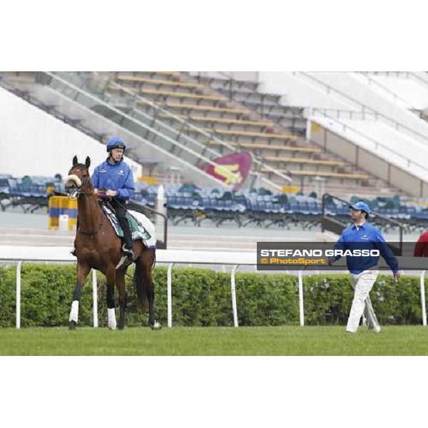 Morning trackworks at Sha Tin racecourse - Campanologist Hong Kong, 9th dec. 2011 ph.Stefano Grasso