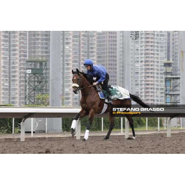 Morning trackworks at Sha Tin racecourse - Campanologist Hong Kong, 9th dec. 2011 ph.Stefano Grasso