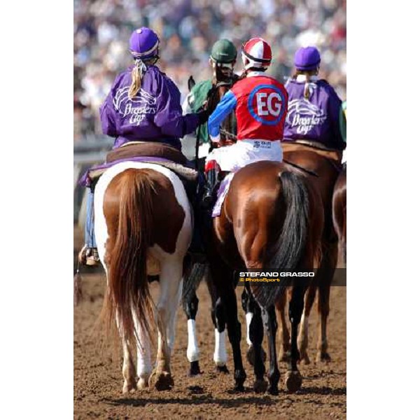 Breeders\' Cup Dallas 30th october 2004 ph. Stefano Grasso