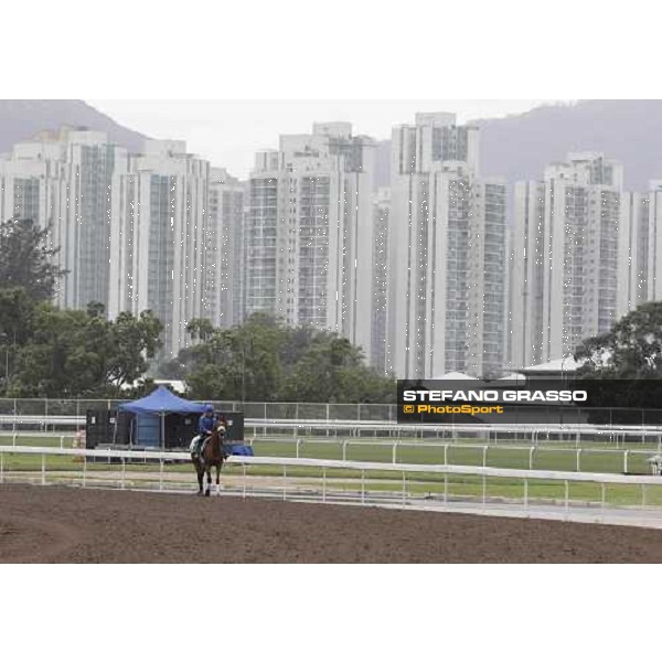 Morning trackworks at Sha Tin racecourse - Campanologist Hong Kong, 9th dec. 2011 ph.Stefano Grasso