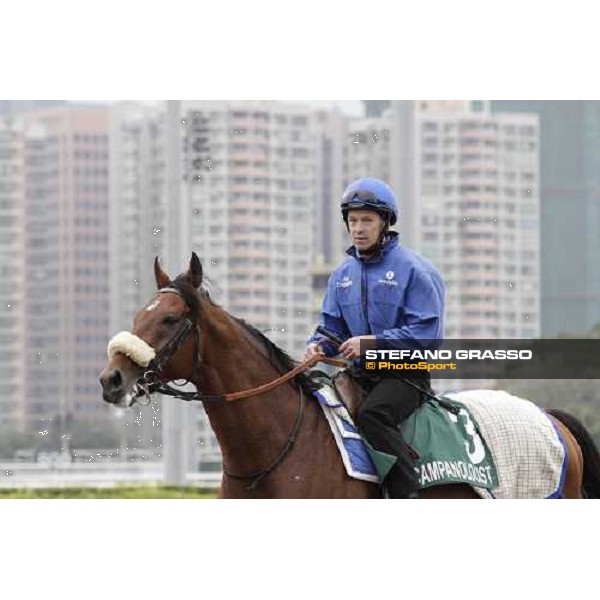 Morning trackworks at Sha Tin racecourse - Campanologist Hong Kong, 9th dec. 2011 ph.Stefano Grasso