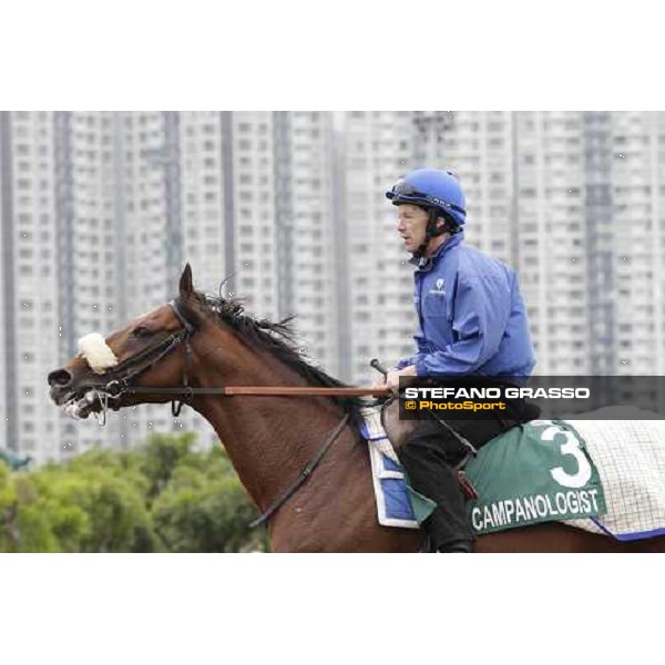 Morning trackworks at Sha Tin racecourse - Campanologist Hong Kong, 9th dec. 2011 ph.Stefano Grasso