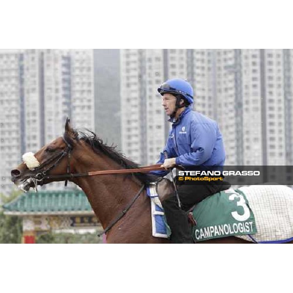 Morning trackworks at Sha Tin racecourse - Campanologist Hong Kong, 9th dec. 2011 ph.Stefano Grasso