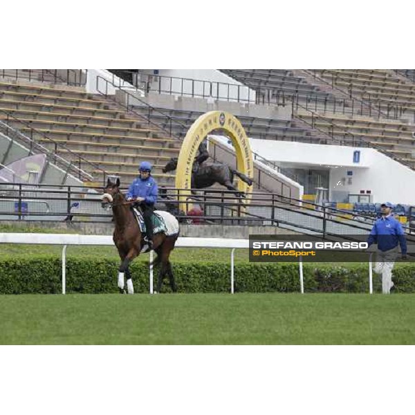 Morning trackworks at Sha Tin racecourse - Campanologist Hong Kong, 9th dec. 2011 ph.Stefano Grasso