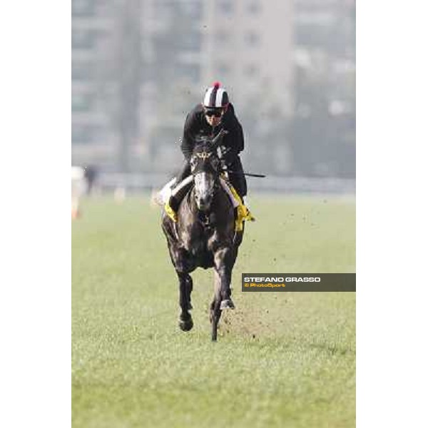 Morning trackworks at Sha Tin racecourse - Curren Chan Hong Kong, 10th dec. 2011 ph.Stefano Grasso