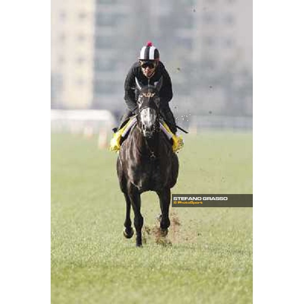 Morning trackworks at Sha Tin racecourse - Curren Chan Hong Kong, 10th dec. 2011 ph.Stefano Grasso