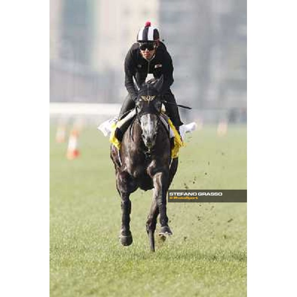 Morning trackworks at Sha Tin racecourse - Curren Chan Hong Kong, 10th dec. 2011 ph.Stefano Grasso