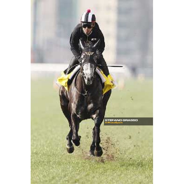 Morning trackworks at Sha Tin racecourse - Curren Chan Hong Kong, 10th dec. 2011 ph.Stefano Grasso