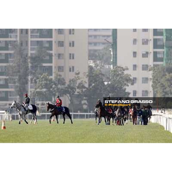 Morning trackworks at Sha Tin racecourse - Hong Kong, 10th dec. 2011 ph.Stefano Grasso