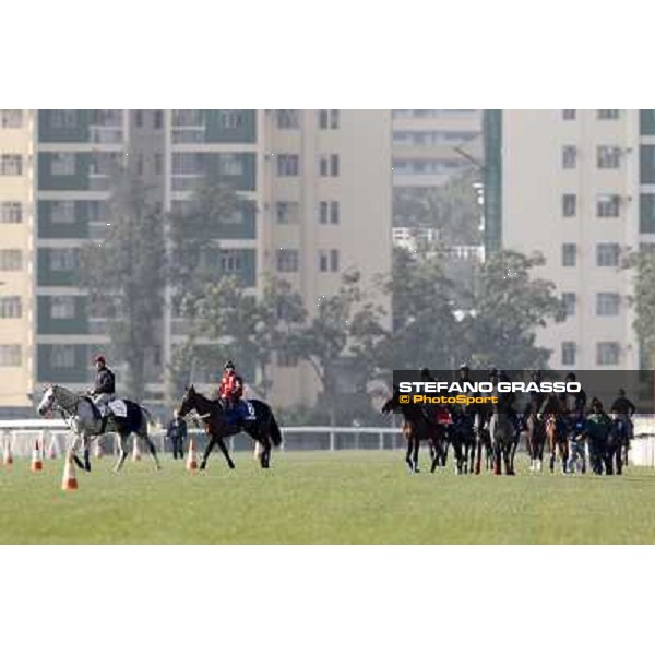 Morning trackworks at Sha Tin racecourse - Hong Kong, 10th dec. 2011 ph.Stefano Grasso