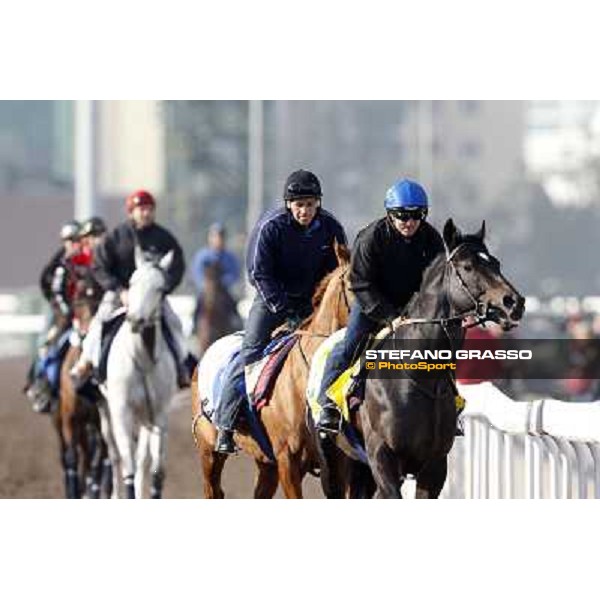 Morning trackworks at Sha Tin racecourse - Hong Kong, 10th dec. 2011 ph.Stefano Grasso