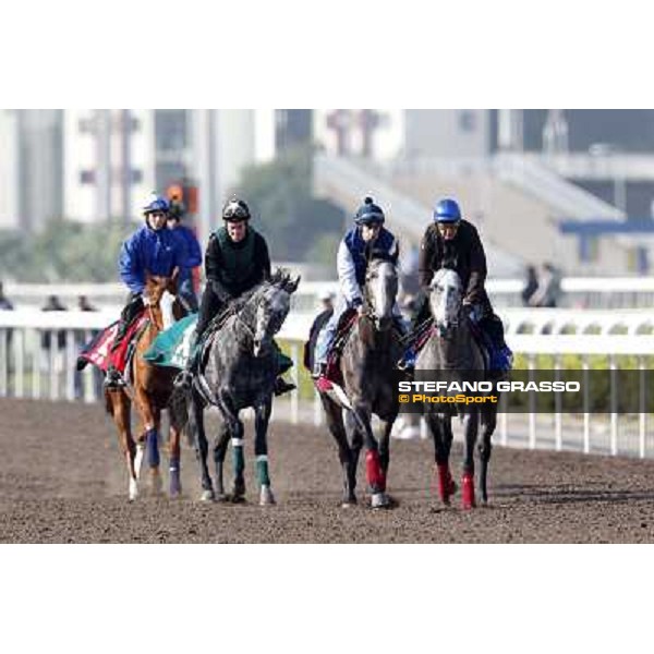 Morning trackworks at Sha Tin racecourse - Hong Kong, 10th dec. 2011 ph.Stefano Grasso