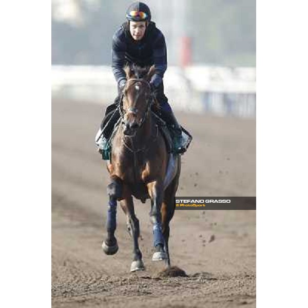 Morning trackworks at Sha Tin racecourse - Jakkalberry Hong Kong, 10th dec. 2011 ph.Stefano Grasso