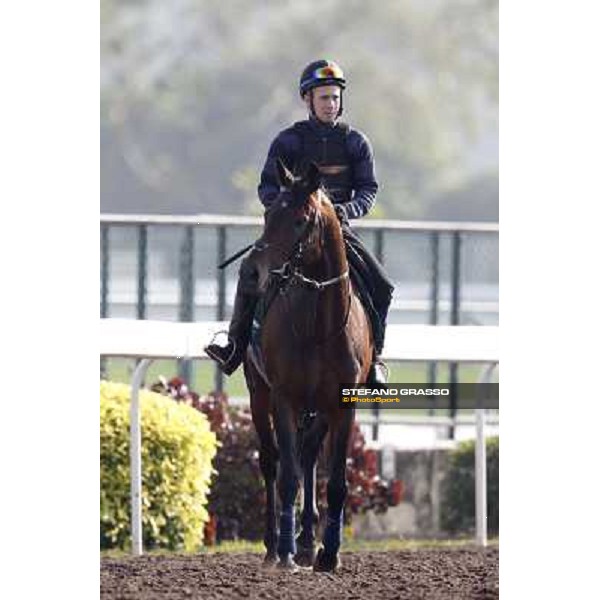 Morning trackworks at Sha Tin racecourse - Jakkalberry Hong Kong, 10th dec. 2011 ph.Stefano Grasso