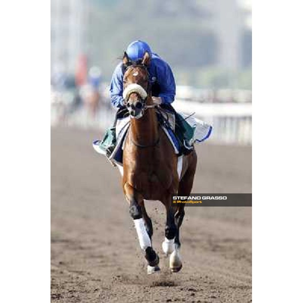 Morning trackworks at Sha Tin racecourse - Campanologist Hong Kong, 10th dec. 2011 ph.Stefano Grasso