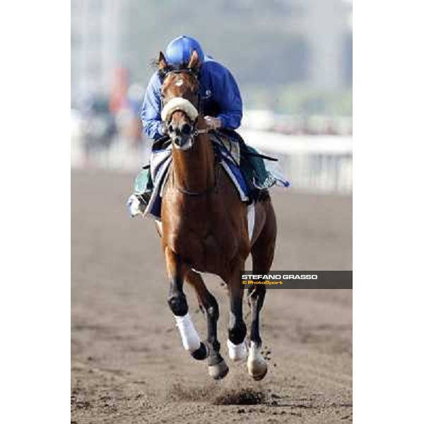 Morning trackworks at Sha Tin racecourse - Campanologist Hong Kong, 10th dec. 2011 ph.Stefano Grasso