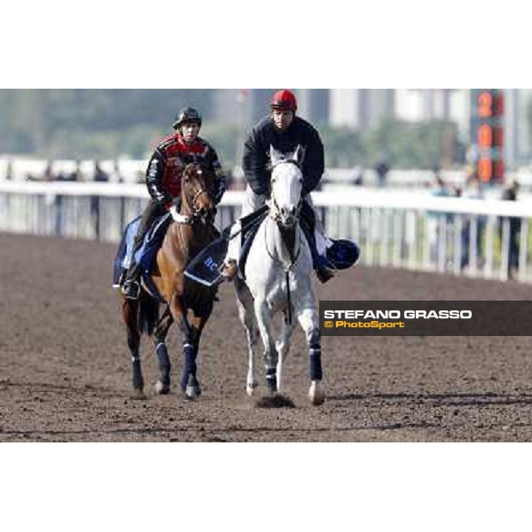 Morning trackworks at Sha Tin racecourse - Saphresa and the companion horse Hong Kong, 10th dec. 2011 ph.Stefano Grasso
