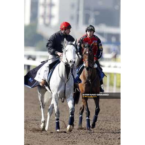 Morning trackworks at Sha Tin racecourse - Saphresa and the companion horse Hong Kong, 10th dec. 2011 ph.Stefano Grasso
