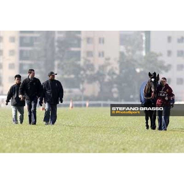 Morning trackworks at Sha Tin racecourse - Redwood and Ransom Note Hong Kong, 10th dec. 2011 ph.Stefano Grasso