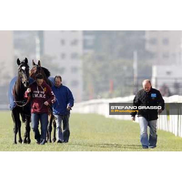 Morning trackworks at Sha Tin racecourse - Redwood and Ransom Note Hong Kong, 10th dec. 2011 ph.Stefano Grasso