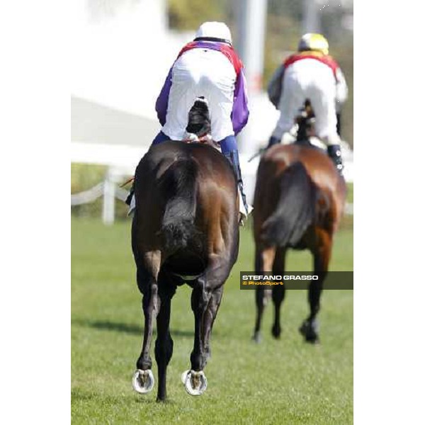 Sha Tin racecourse Hong Kong, 11th dec. 2011 ph.Stefano Grasso