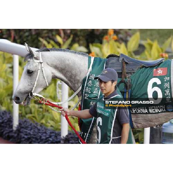 M.Chadwick on California Memory wins the Cathay Pacific Hong Cup Hong Kong, 11th dec. 2011 ph.Stefano Grasso