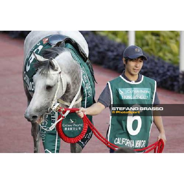 M.Chadwick on California Memory wins the Cathay Pacific Hong Cup Hong Kong, 11th dec. 2011 ph.Stefano Grasso