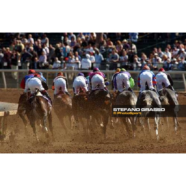 first bend of Breeders\' Cup Distaff. Dallas 30th october 2004 ph. Stefano Grasso