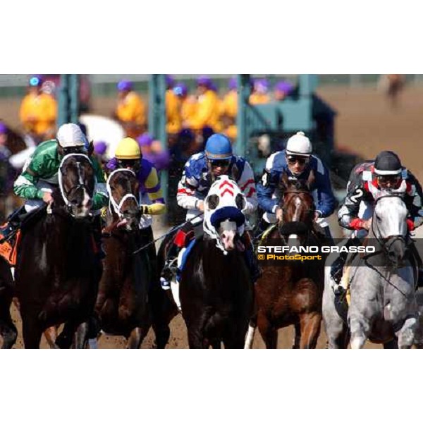 Breeders\' Cup Dallas 30th october 2004 ph. Stefano Grasso