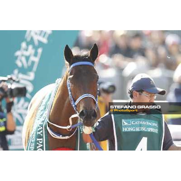 Brett Prebble on Lucky Nine wins the Cathay Pacific Hong Sprint Hong Kong, 11th dec. 2011 ph.Stefano Grasso