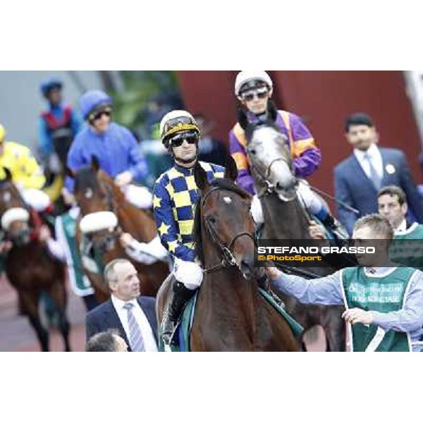 Fabio Branca and Jakkalberry enter the track before the Cathay Pacific Hong Kong Vase Hong Kong, 11th dec. 2011 ph.Stefano Grasso