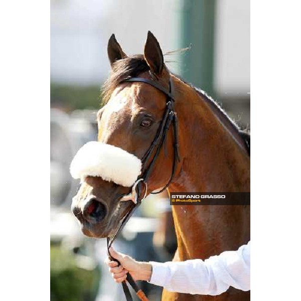 C.Williams on Dunaned wins the Cahay Pacifgic Hong Kong Vase Hong Kong, 11th dec. 2011 ph.Stefano Grasso