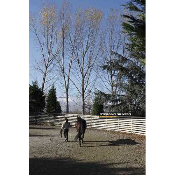 A morning with Varenne @ Il Grifone Stud Vigone (TO) 2011 ph.Stefano Grasso