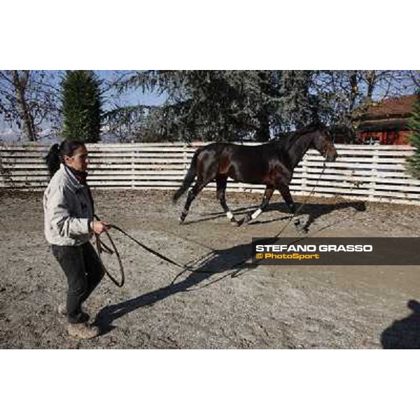 A morning with Varenne @ Il Grifone Stud Vigone (TO) 2011 ph.Stefano Grasso